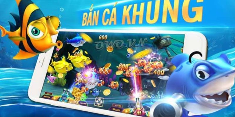 Kinh nghiệm săn cá rồng hiệu quả KO66